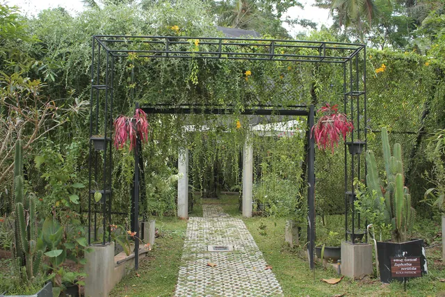 CEYLON KINGSMEN GARDEN
