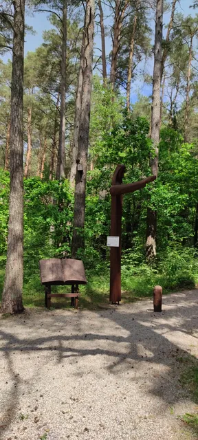 Kulautuvos pėsčiųjų sveikatingumo takas