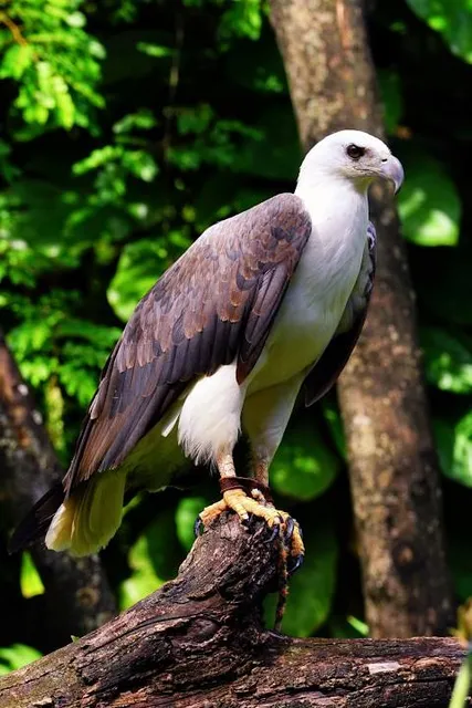 La Marina Wildlife Rescue Center