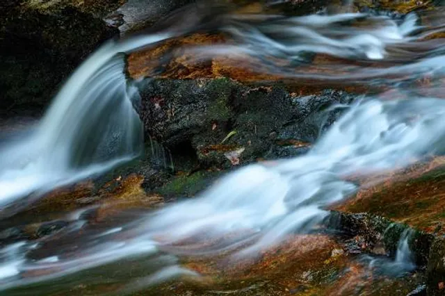 Nassahegon State Forest