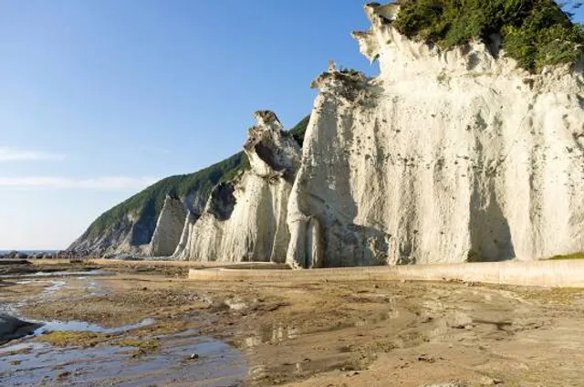 滝瀬海岸シラフラ