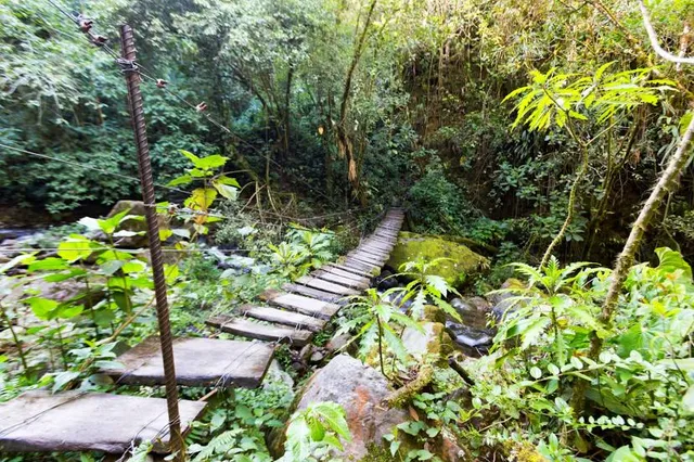 Acaime Nature Reserve