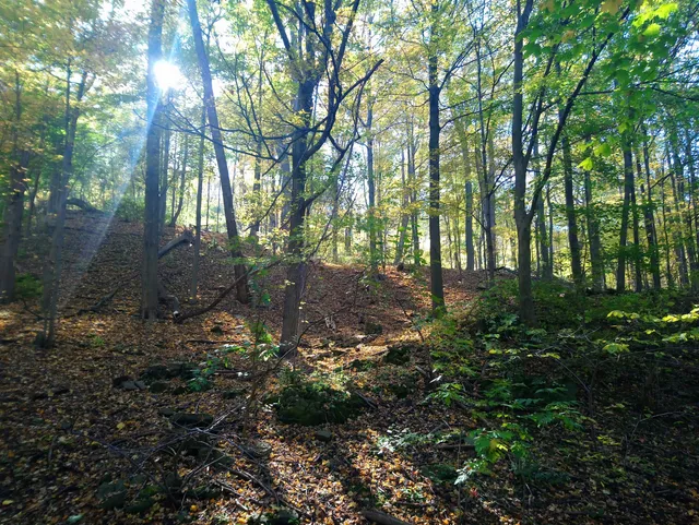 Historic Bruce Trail