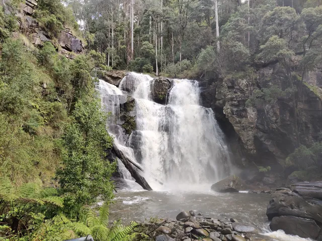 Stevensons Falls