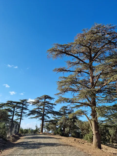 Bordj El Emir Abdelkader