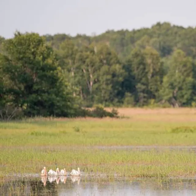 Crex Meadows State Wildlife Area