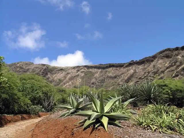Keystone Heritage Park and the El Paso Desert Botanical Garden