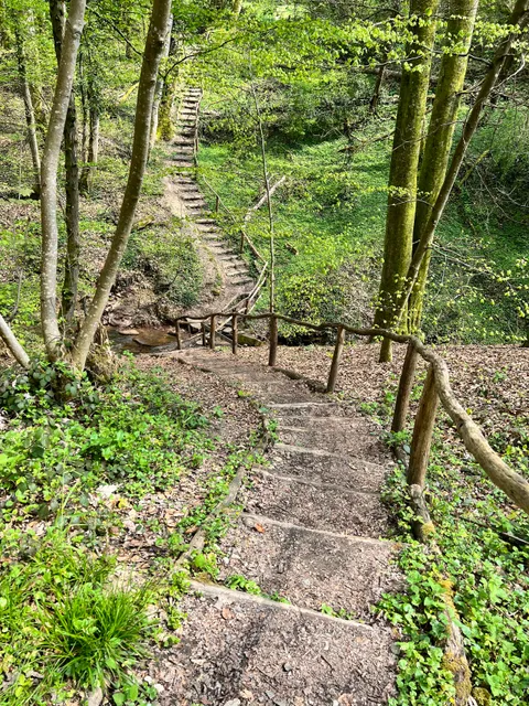 Natura Trail Mandelbachtal