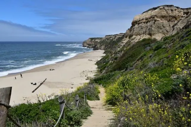 Cowell Ranch Beach Access