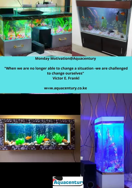 Aquacentury Interior solutions