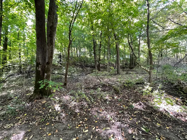 Whitetail Ridge Mountain Bike Trail