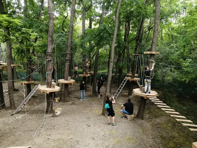 Въжен парк Лаута