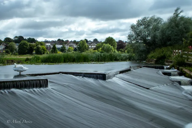 Sudbury Common Lands