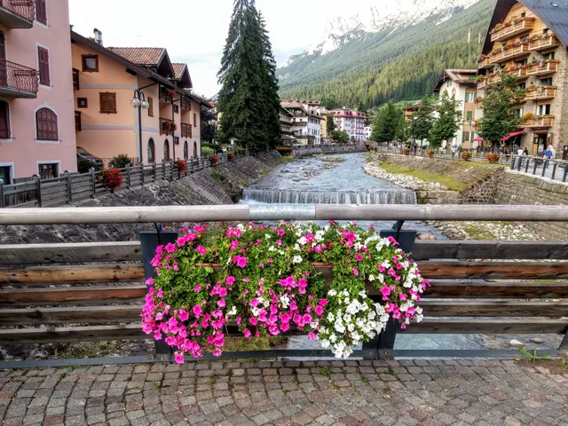 CONSORTIUM ALPE LUSIA / SAN PELLEGRINO