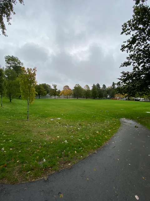 photo-3