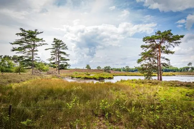 Hatertse en Overasseltse Vennen