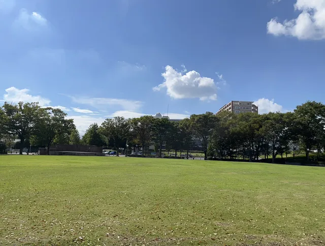 Shinkawa Park