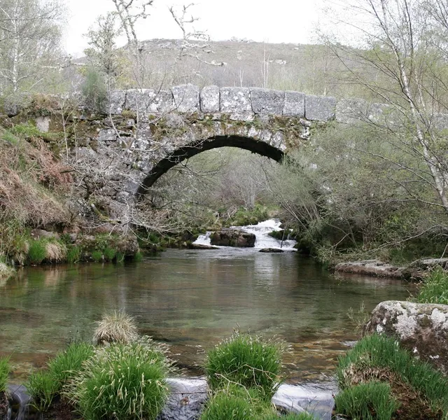 Ponte de Varziela