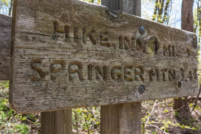 Springer Mountain