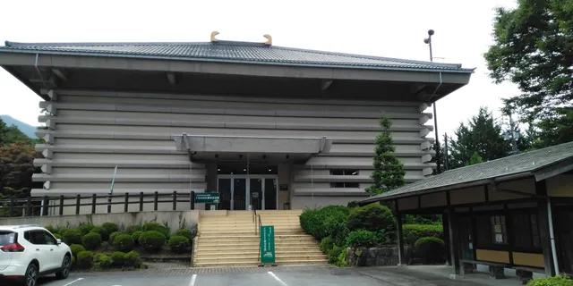 ゲロフルサトレキシキネンカン