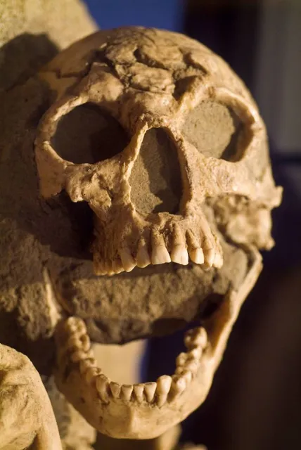 Jamestown Rediscovery