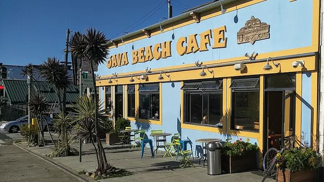 Java Beach At The Zoo