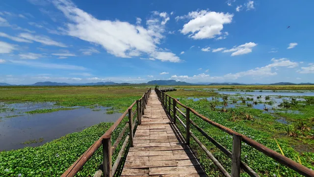 Parque Nacional Palo Verde