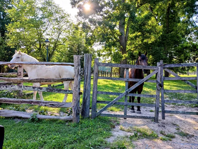 Benjamin Powell House