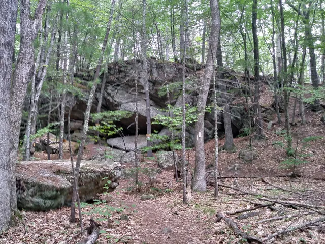 Winnie The Pooh Trail