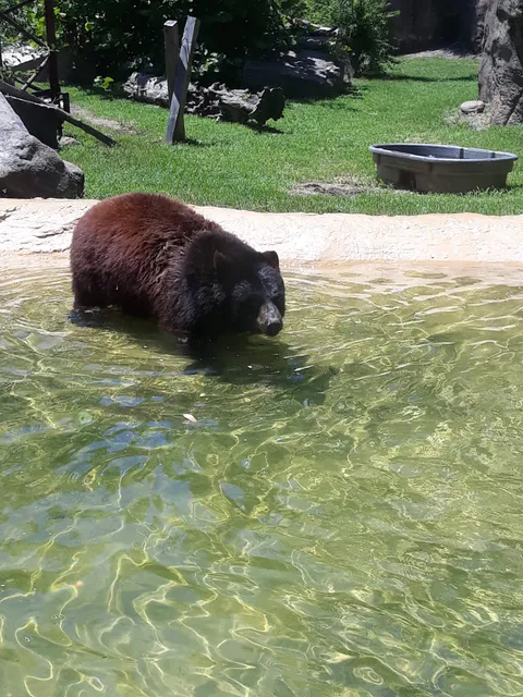 Rowan Wildlife Adventures