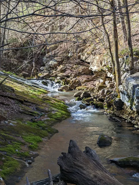 Roaring Run Loop Trail