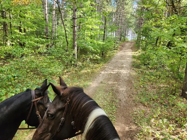 South Orrock Trailhead