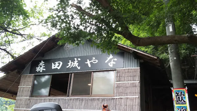 森田城やな 栃木県那須烏山