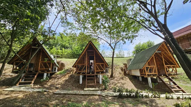 Oasis del cañaveral