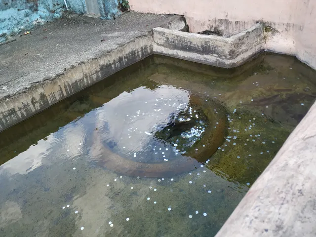 Hot Springs, Sativali