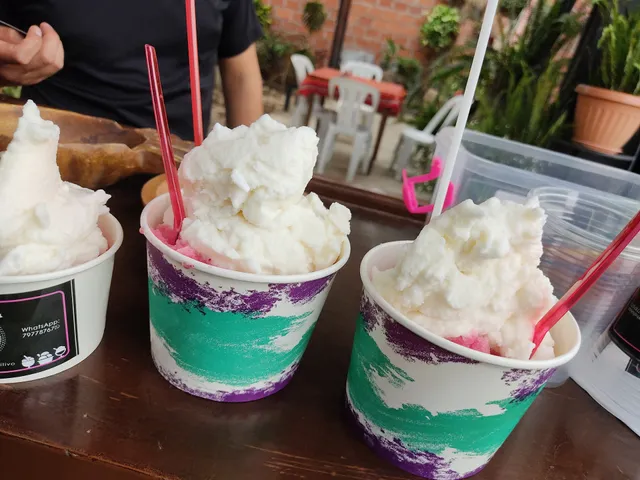 OTRO NIVEL Helados artesanales