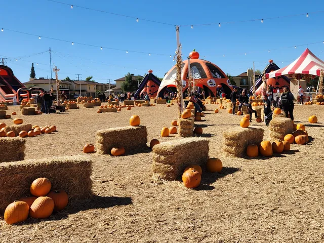 Seasonal Adventures Pumpkin Patch & Christmas Trees