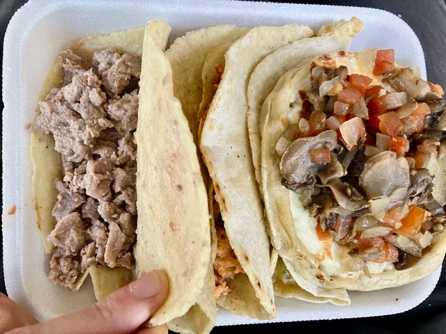 TACOS Y GORDITAS RELLENAS "MIGUEL"