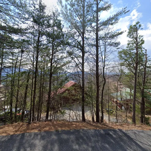 Run To The Hills - Cove Mountain Resorts