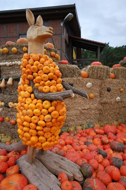 Asparagus and Adventure Farm Klaistow