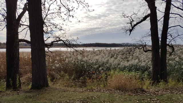 Yahara Heights County Park