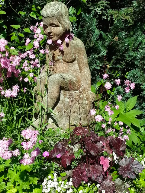 Perennials in the backyard