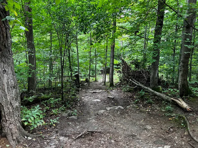 Starkey Hill Conservation Area