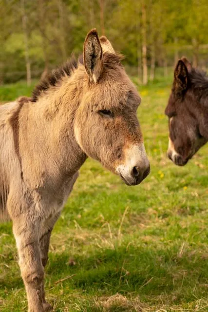 Dún Na Sí Amenity & Heritage Park