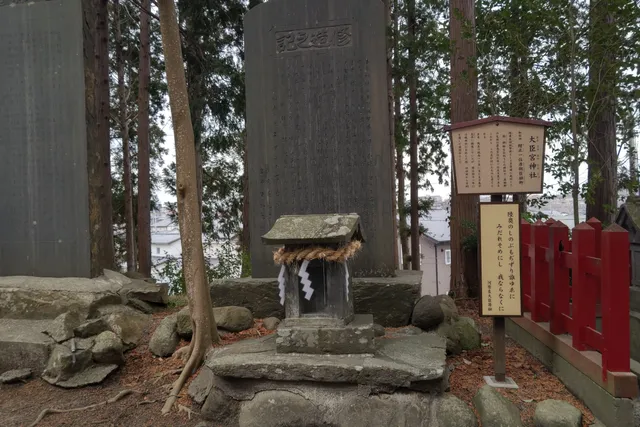 photo-1