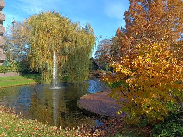 Thalenweide Westerstede Park