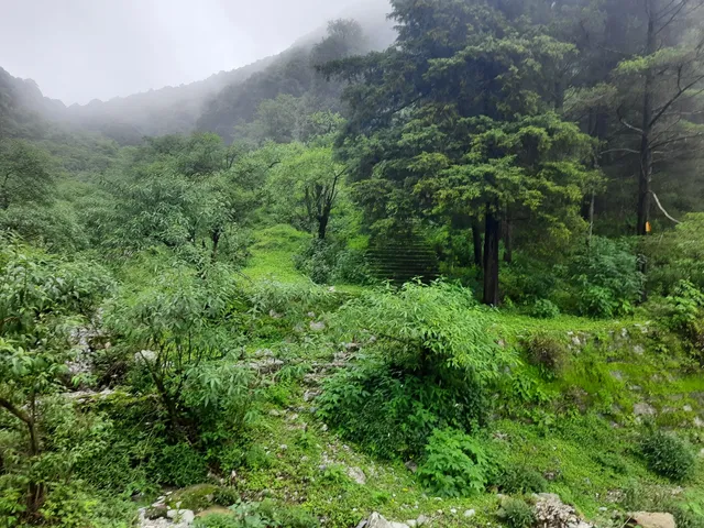 place image