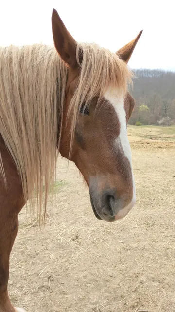 Nature Reserve of Ghirardi