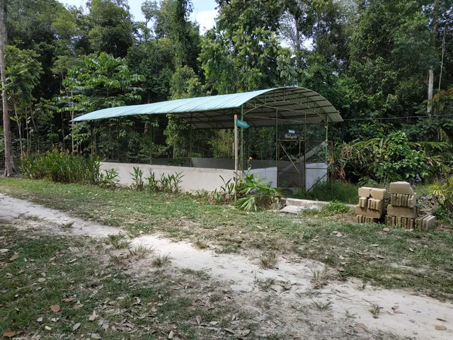 photo-2