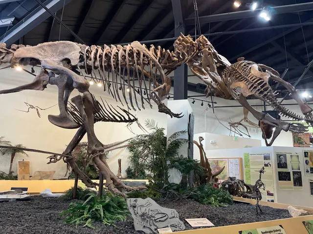 Rocky Mountain Dinosaur Resource Center